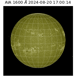 saia - 2024-08-20T17:00:14.126000