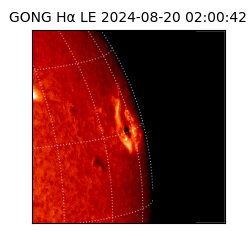 gong - 2024-08-20T02:00:42