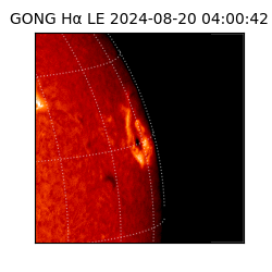 gong - 2024-08-20T04:00:42
