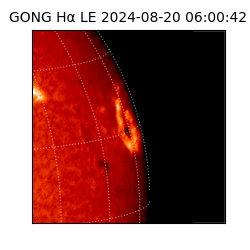 gong - 2024-08-20T06:00:42