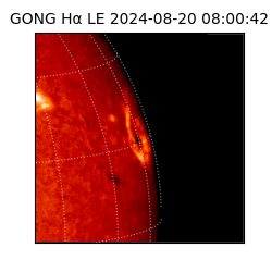 gong - 2024-08-20T08:00:42