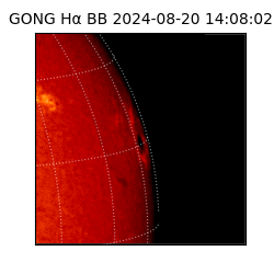 gong - 2024-08-20T14:08:02