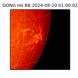 gong - 2024-08-20T01:00:02