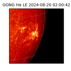 gong - 2024-08-20T02:00:42