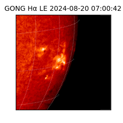 gong - 2024-08-20T07:00:42