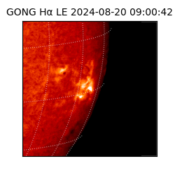 gong - 2024-08-20T09:00:42