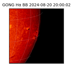 gong - 2024-08-20T20:00:02