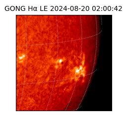 gong - 2024-08-20T02:00:42