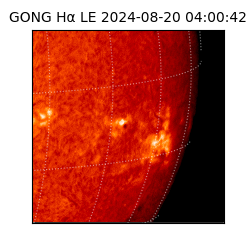gong - 2024-08-20T04:00:42