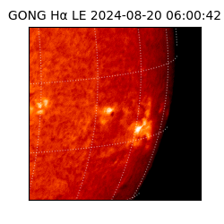 gong - 2024-08-20T06:00:42