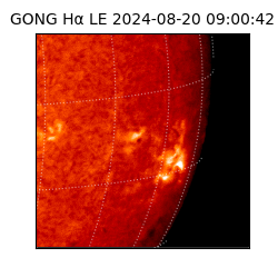 gong - 2024-08-20T09:00:42