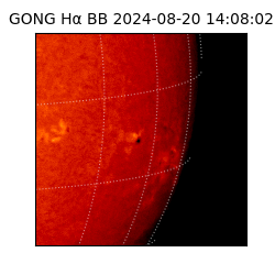 gong - 2024-08-20T14:08:02