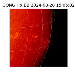 gong - 2024-08-20T15:05:02