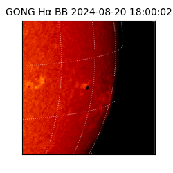 gong - 2024-08-20T18:00:02