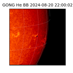 gong - 2024-08-20T22:00:02