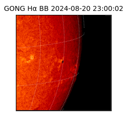 gong - 2024-08-20T23:00:02