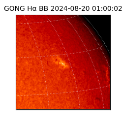 gong - 2024-08-20T01:00:02