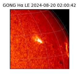 gong - 2024-08-20T02:00:42