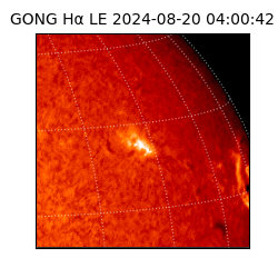 gong - 2024-08-20T04:00:42