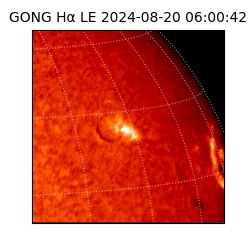 gong - 2024-08-20T06:00:42