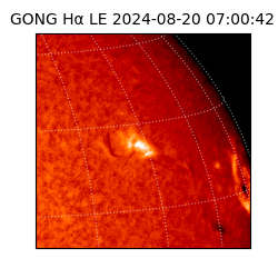 gong - 2024-08-20T07:00:42