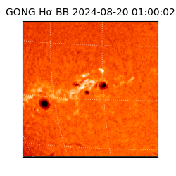 gong - 2024-08-20T01:00:02