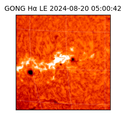 gong - 2024-08-20T05:00:42