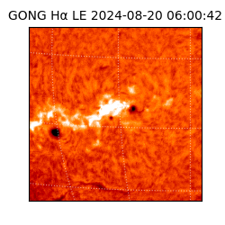 gong - 2024-08-20T06:00:42