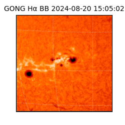 gong - 2024-08-20T15:05:02