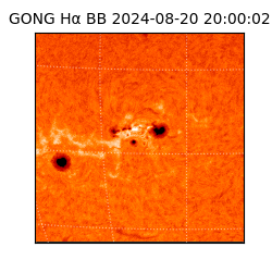 gong - 2024-08-20T20:00:02