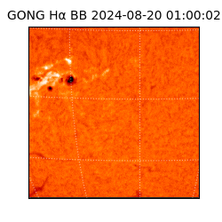 gong - 2024-08-20T01:00:02