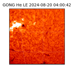 gong - 2024-08-20T04:00:42