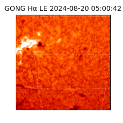 gong - 2024-08-20T05:00:42