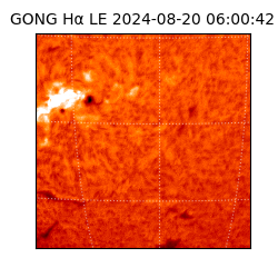 gong - 2024-08-20T06:00:42