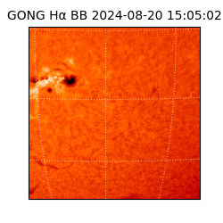 gong - 2024-08-20T15:05:02