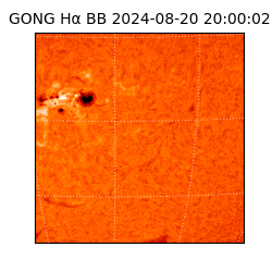 gong - 2024-08-20T20:00:02