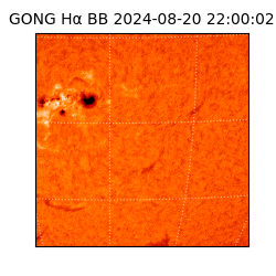 gong - 2024-08-20T22:00:02