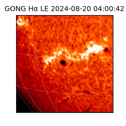 gong - 2024-08-20T04:00:42