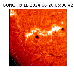 gong - 2024-08-20T06:00:42