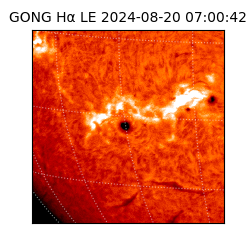 gong - 2024-08-20T07:00:42