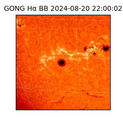 gong - 2024-08-20T22:00:02