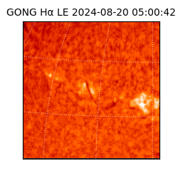 gong - 2024-08-20T05:00:42