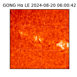 gong - 2024-08-20T06:00:42