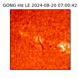 gong - 2024-08-20T07:00:42