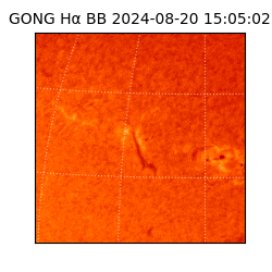 gong - 2024-08-20T15:05:02