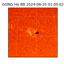 gong - 2024-08-20T01:00:02