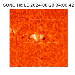 gong - 2024-08-20T04:00:42