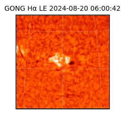 gong - 2024-08-20T06:00:42