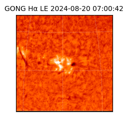 gong - 2024-08-20T07:00:42