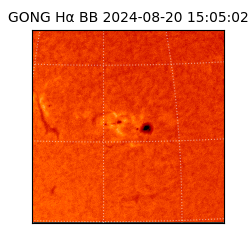 gong - 2024-08-20T15:05:02